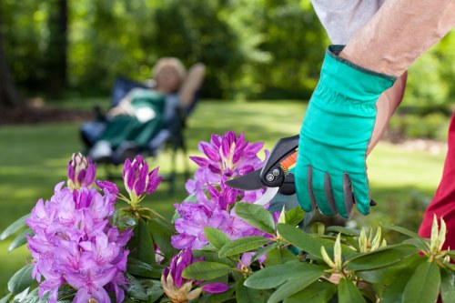 Team trimming a hedge with recycling bins and sorted waste