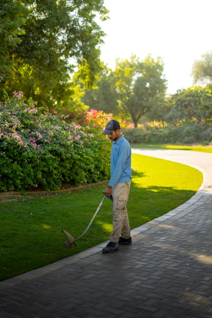 A garden scene showcasing a well-maintained outdoor space with a neatly trimmed hedge border along a gravel pathway. To the left, there are vibrant green plants and shrubs with some freshly cut leaves