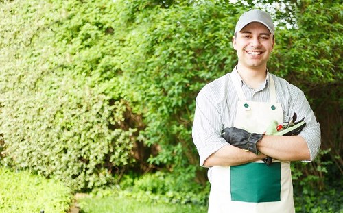 Professional hedge trimming service in Victoria